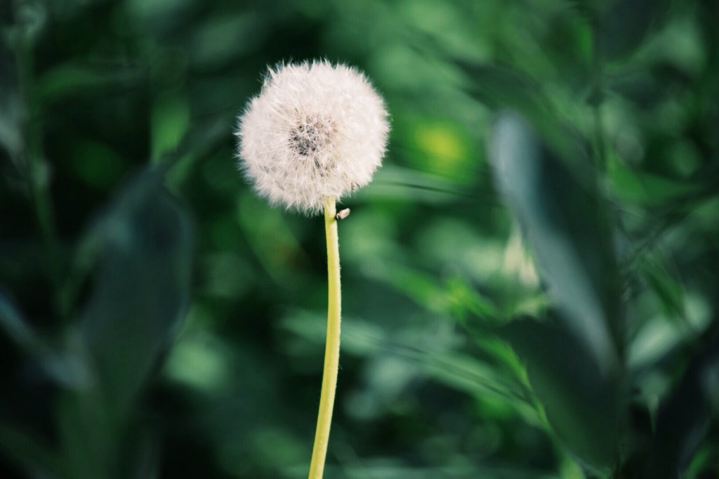 Processed with VSCOcam with g3 preset