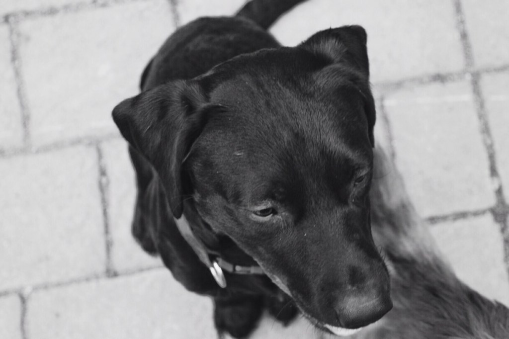 Processed with VSCOcam with b1 preset