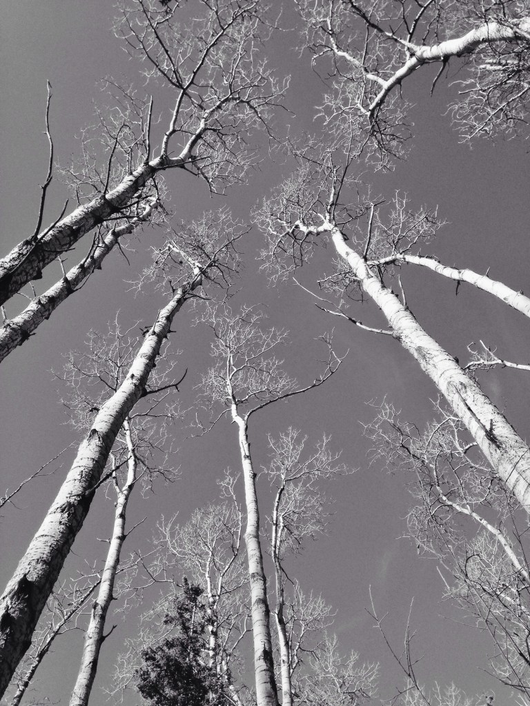 Processed with VSCOcam with b1 preset