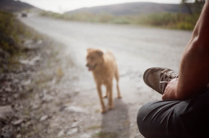 hayd-photo-000096300019