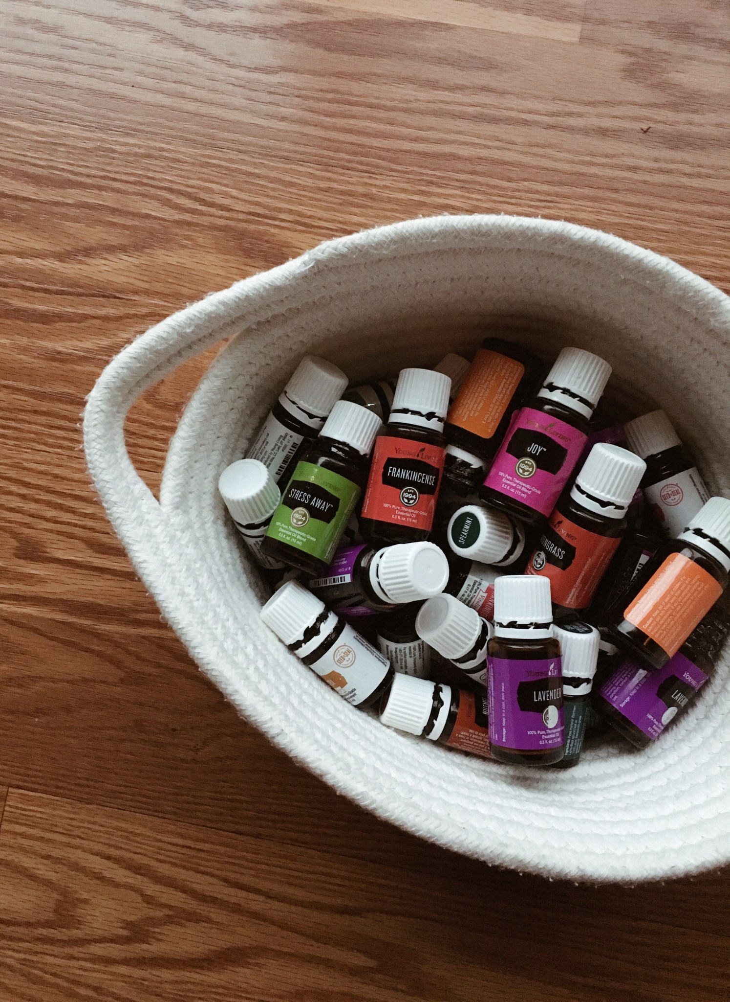 69ece8b7-5825-4bb1-b456-0917b08c0724